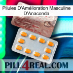 Anaconda Male Enhancement Pills new13